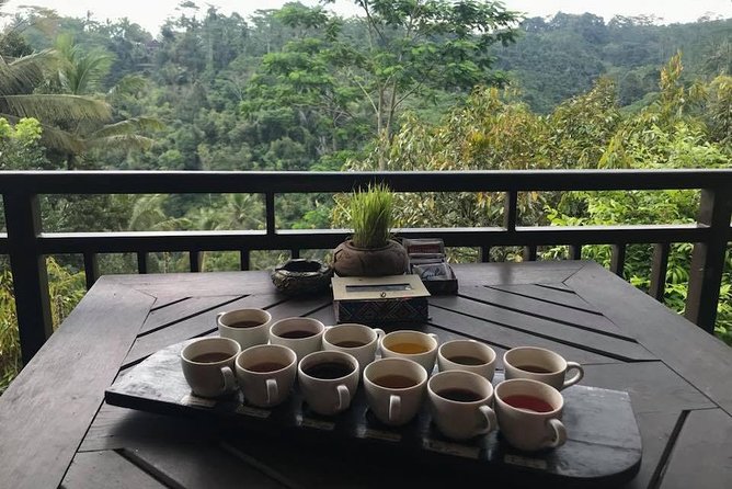 Mt. Batur sunrise trekking with Natural hotspring pool - An In-Depth Look at the Tour: What to Expect