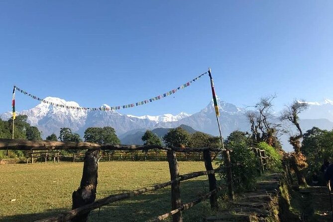 Australian Camp Trek - A beautiful short day hike from Pokhara - A Close-Up of the Experience