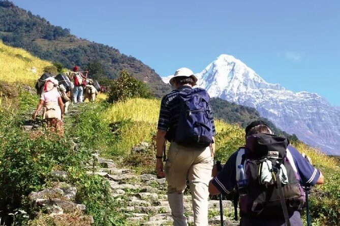 Pokhara: Day Hike at Annapurna Mountain Foothills - Transportation and Timing