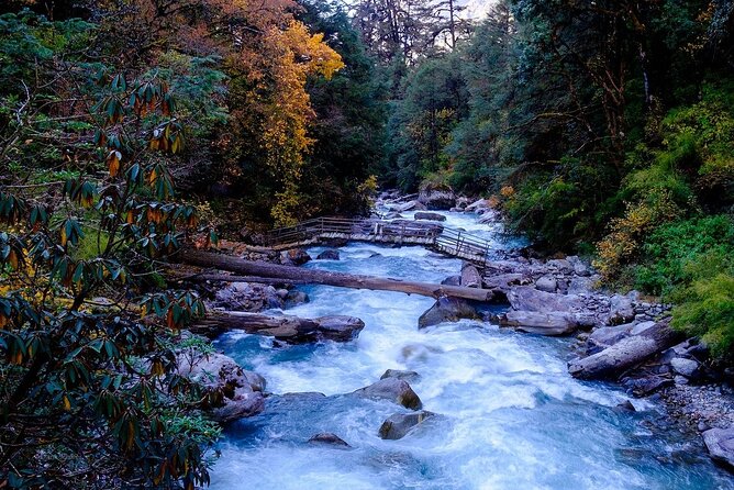Pokhara: Day Hike at Annapurna Mountain Foothills - Who Should Consider This Tour?