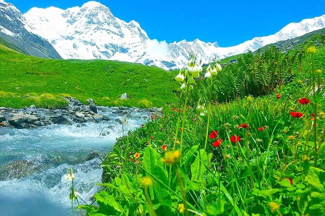 Pokhara: Day Hike at Annapurna Mountain Foothills - Practical Tips