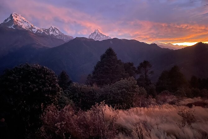 Pokhara: 4 Days Poon Hill and Ghandruk Trek - FAQs
