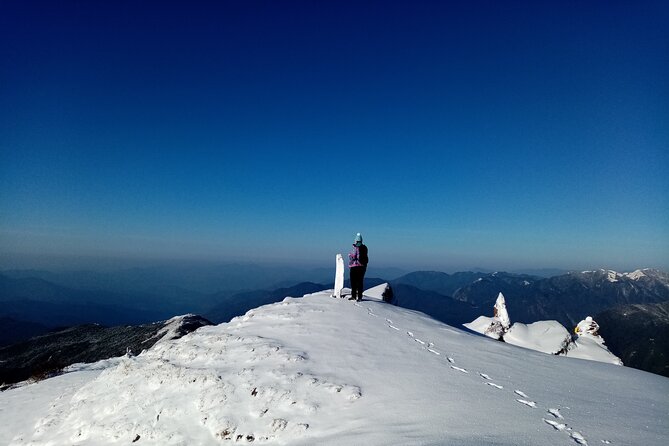 Private Tour 5 Day Mardi Himal Trek - Why Choose This Trek? Insights from Reviews and Experience