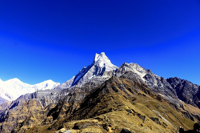 Private Tour 5 Day Mardi Himal Trek - Frequently Asked Questions
