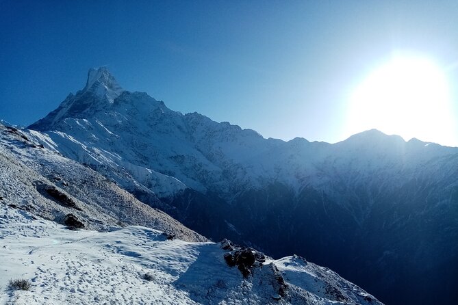 Private Tour 5 Day Mardi Himal Trek - What to Expect on the Mardi Himal Trek