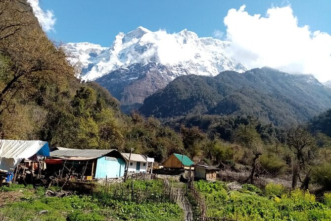3 Days Kori Trek from Pokhara - Final Thoughts: Is the Kori Trek for You?