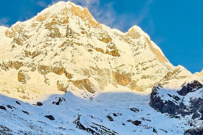 7 Days ABC Trek with Chitwan Safari Tour - A Closer Look at the 7-Day ABC Trek and Chitwan Safari