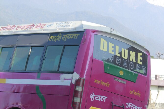 7 Days Tour on Poon Hill Trek and Chitwan Jungle Safari - Logistics, Comfort, and Value