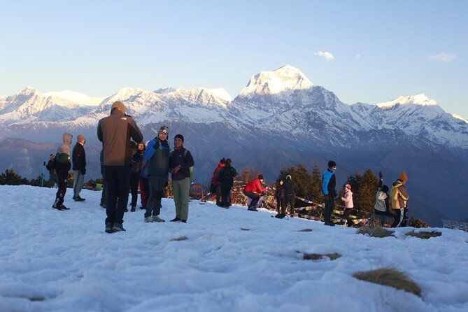 7 Days Tour on Poon Hill Trek and Chitwan Jungle Safari - Good To Know