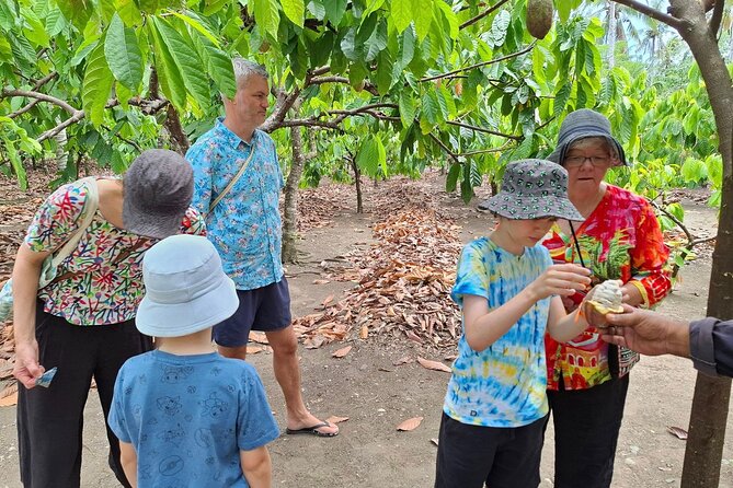 The Solomon Chocolate trail - Final Thoughts: Is It Worth It?