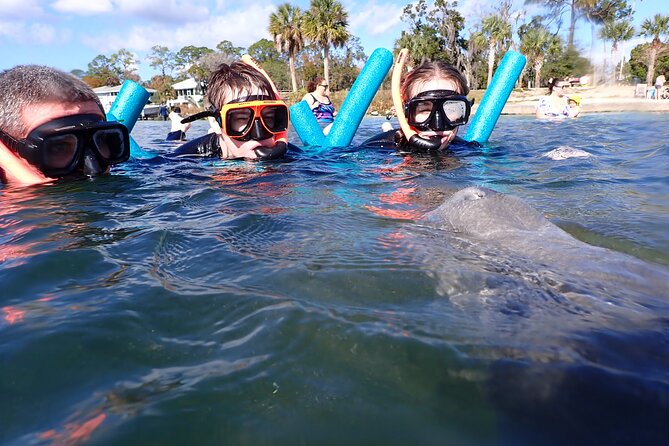Most Popular 3hr Manatee Swim Tour + In-Water Guide! - FAQ