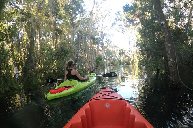 Full Day Single Kayak Rental In Crystal River - What’s Included and What’s Extra
