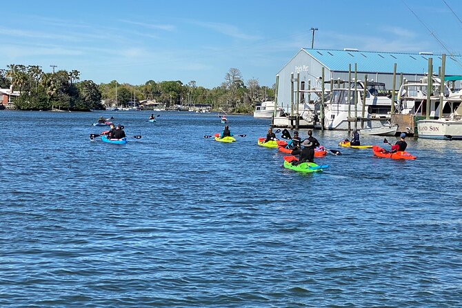 Full Day Single Kayak Rental In Crystal River - Authentic Experiences from Fellow Travelers