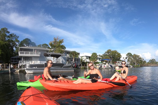 Full Day Single Kayak Rental In Crystal River - Who Will Love This Experience?