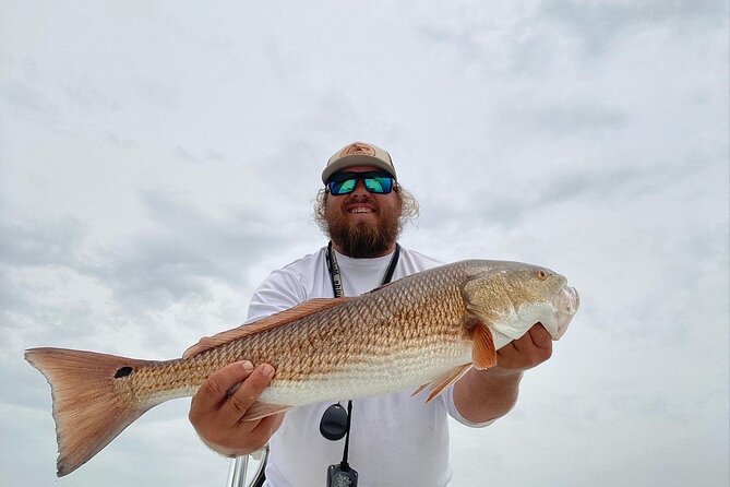 Half-Day Private Guided Inshore Fishing Charter on the Nature Coast - The Real Value: What You Get