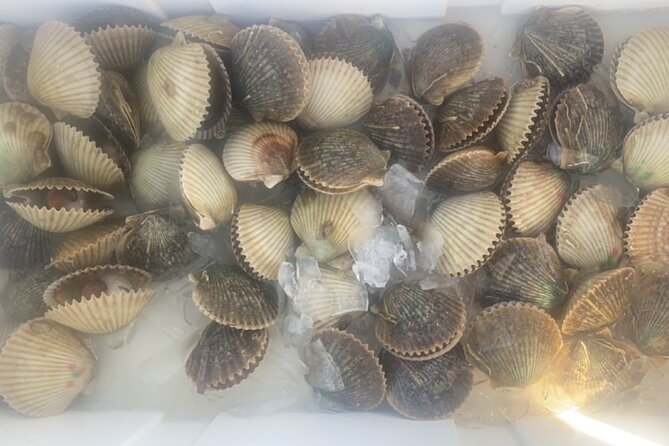 Ultimate Private Scalloping Adventure in Crystal River - Who Will Love This Experience?