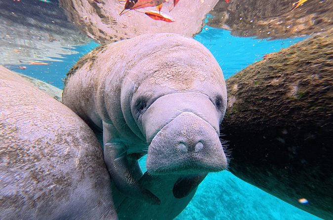 2 Hour Kayak Rental - The Sum Up