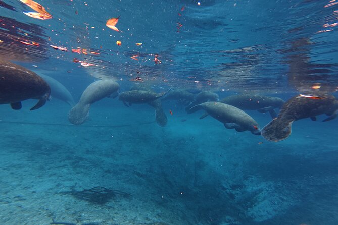 4 hours Kayak Rental - FAQs