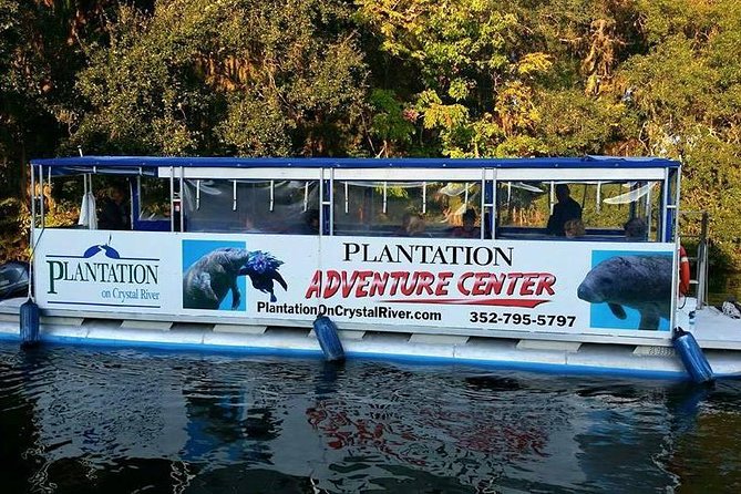 Plantation's Kings Bay Scenic Cruise - The Experience: Pros and Cons