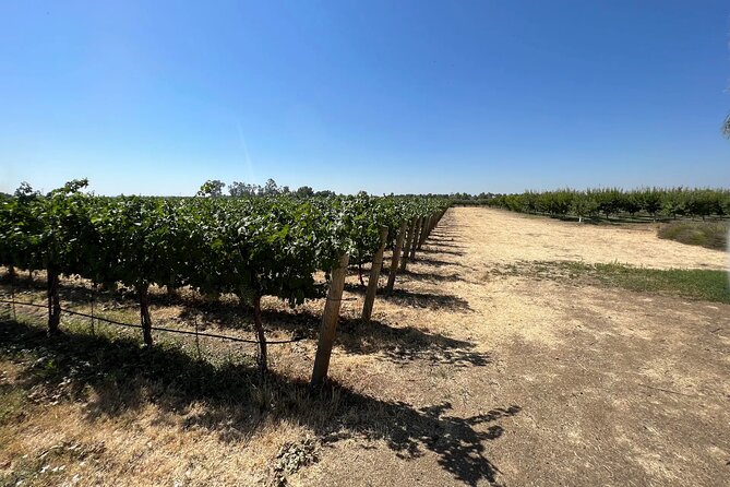 Yolo County Explorer: Culinary & Cultural Audio Tour - Discover Yolo Countys Flavors and Charm with a Self-Guided Audio Tour