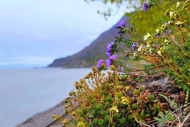 Port Whittier Day Tour - Wilderness, Wildlife & Ring of Glaciers - FAQ