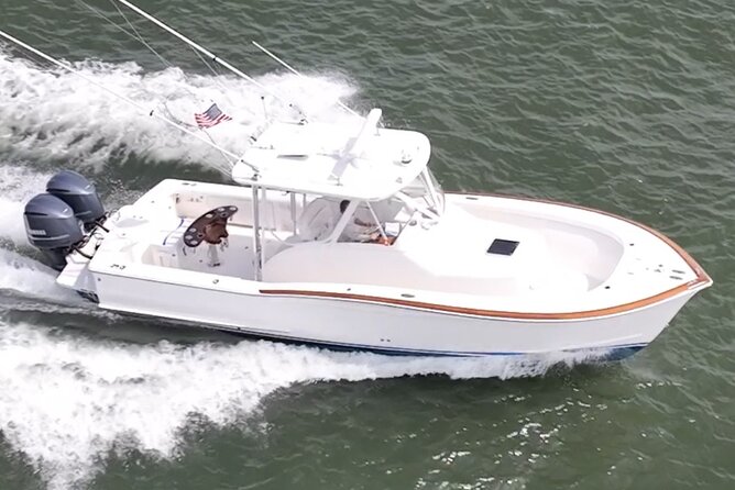 Private Boat Tours and dolphin encounters in Avalon NJ - Private Boat Tours and Dolphin Encounters in Avalon NJ