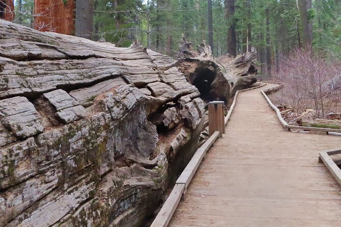 A Highway 49 Drive: A Self-Guided Audio Tour from Angels Camp to Jamestown - The Practical Side: Transportation, Duration, and Cost