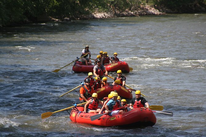 Family Float (FREE Lunch, Digital Photo, and Wetsuit Use) - Who Is This Tour Best Suited For?