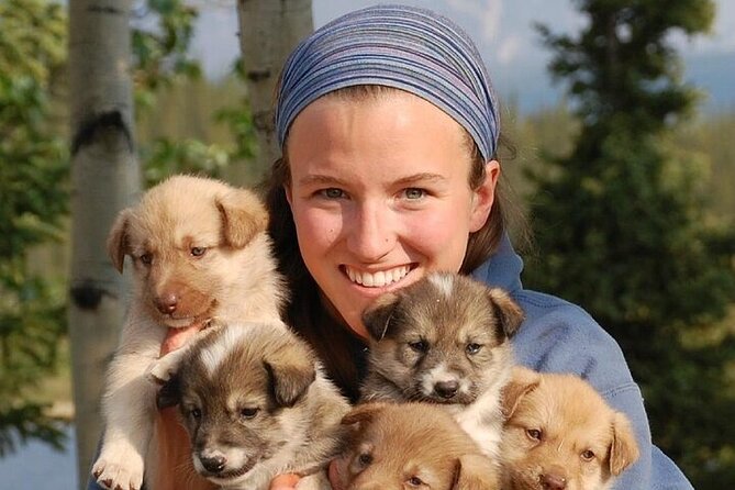 Snuggle Puppies and Learn about the Iditarod - Analyzing the Value
