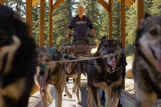 Snuggle Puppies and Learn about the Iditarod - Key Points