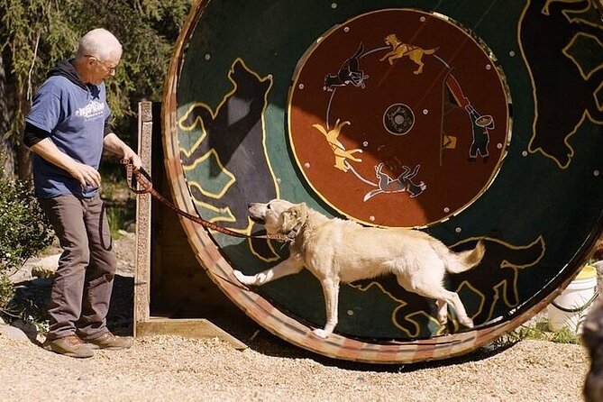 Snuggle Puppies and Learn about the Iditarod - Who Will Love This Tour?