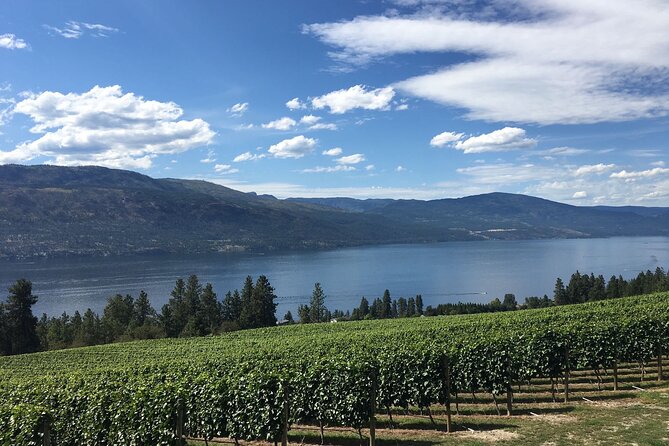 Private Boat Tour with Lunch Stop - Who Would Love This Tour?