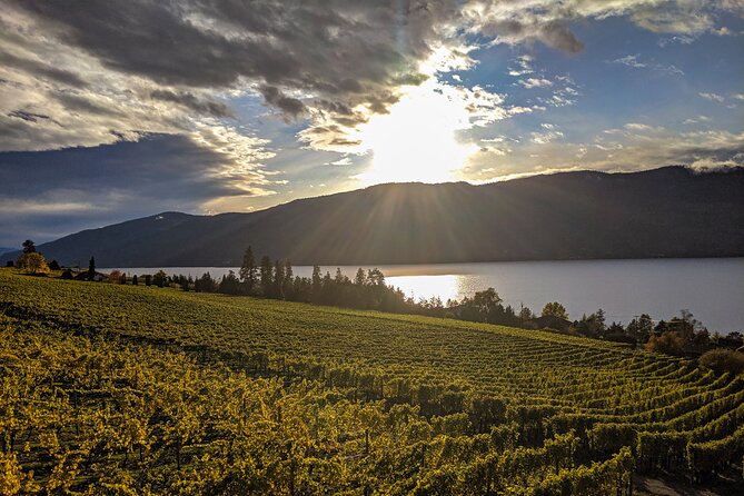 Sunset Sip Wine Tour - Why Choose the Sunset Sip Wine Tour?