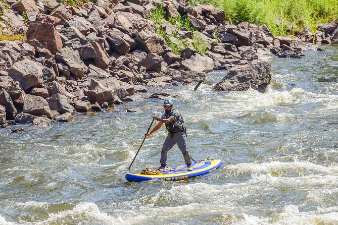 Paddleboard Scenic Upper Colorado River Half-day Trip - Authentic Experience: What Travelers Say