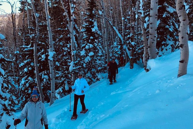 Private Park City Snowshoe Excursions (9:30am/12:30pm start time) - Final Thoughts: Who Will Love This?