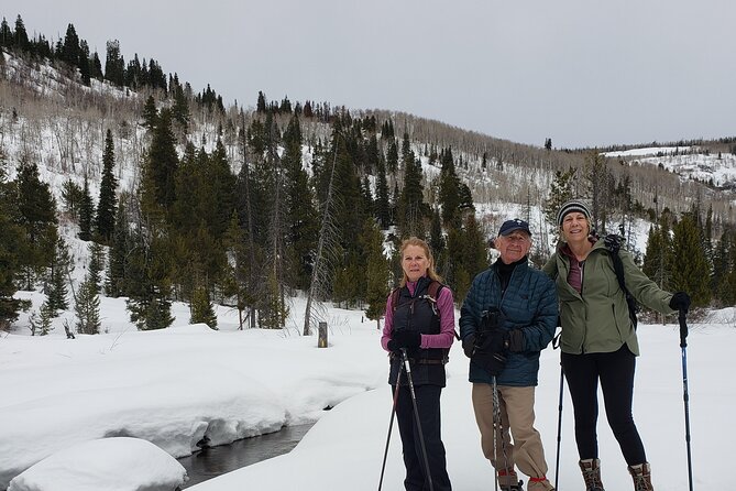Guided Uinta Forest 3-Mile Hike w/fire + Lunch/charcuterie Stop - A Detailed Look at the Uinta Forest Hike