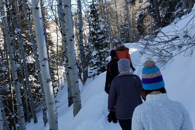 Guided Uinta Forest 3-Mile Hike w/fire + Lunch/charcuterie Stop - Experience the Uinta Forest on a Guided 3-Mile Winter Hike with Fire and Lunch