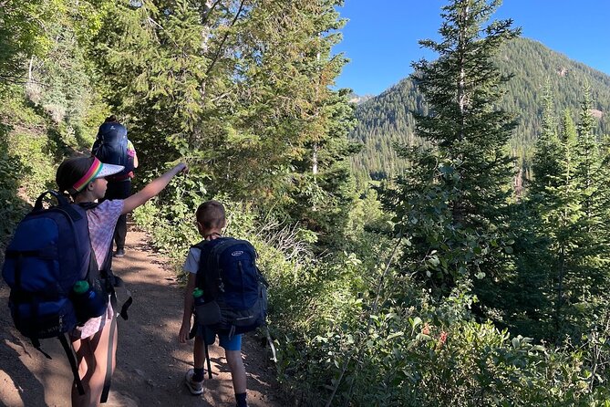 Day Trip Activity at Utah Mountain Backcountry with Box Lunch - The Magnificent Fall Colors