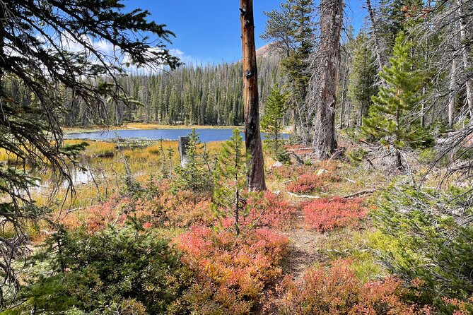 Day Trip Activity at Utah Mountain Backcountry with Box Lunch - Frequently Asked Questions