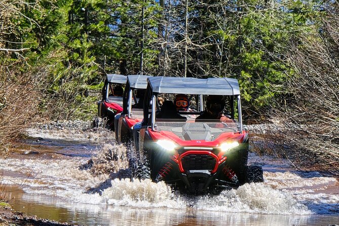 2 Hour High Cascades Scenic ATV Tour in Bend Oregon - Suitability and Who Will Love This