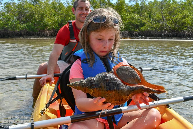 Mangrove Tunnels & Mudflats Kayak Tour - Local Biologist Guides - Final Thoughts