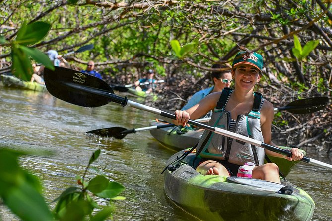 Mangrove Tunnels & Mudflats Kayak Tour - Local Biologist Guides - Authentic Experiences and Real Reviews