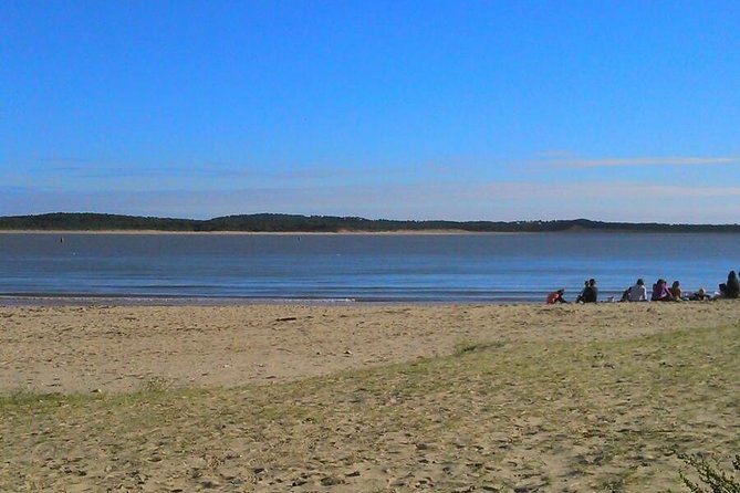 Taichi & Qigong Class in Naples, Florida - A Detailed Look at the Experience