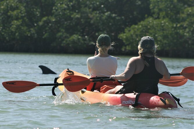 Nauti Exposures - Guided kayak tour through the Mangroves - Who Will Love This Tour?