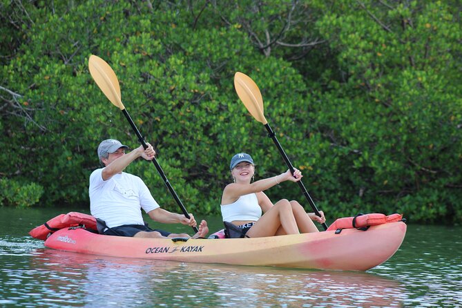 Nauti Exposures - Guided kayak tour through the Mangroves - Key Points