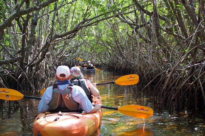 Manatees and Mangrove Tunnels Small Group Kayak Tour - What Sets This Tour Apart? The Details That Matter