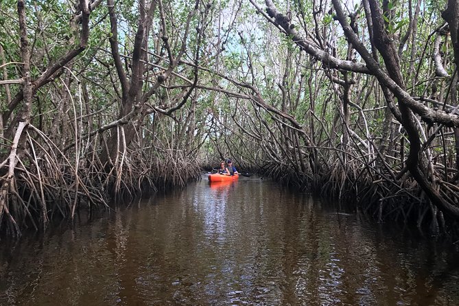 Manatees and Mangrove Tunnels Small Group Kayak Tour - Analyzing the Value: Is It Worth the Price?