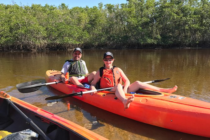 Manatees and Mangrove Tunnels Small Group Kayak Tour - Who Should Consider This Tour?