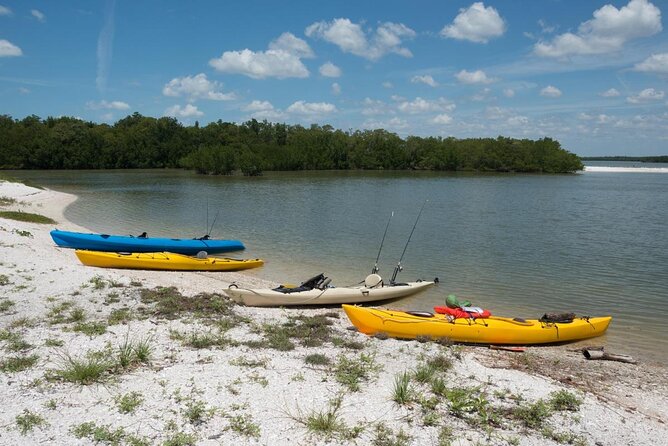 Manatees and Mangrove Tunnels Small Group Kayak Tour - Experience the Best of Florida’s Everglades with the Manatees and Mangrove Tunnels Kayak Tour
