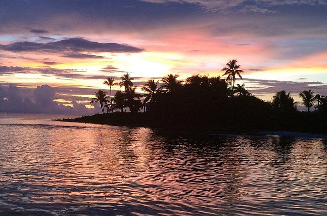 2 Hour Wildlife Adventure - Why This Tour Works for You